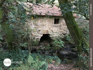 Auf dem Camino Portugues f&uuml;hrt der Weg an dieser gut erhaltenen Steinm&uuml;hle vorbei, die mitten im Wald am Flussrand steht und von B&auml;umen und Farn umgeben ist.