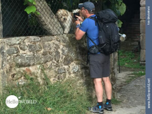 Meist sind Hunde auf dem Camino Portugues harmlos, so wie das auf dem Bild zu sehende braun-wei&szlig;e kleine Wollkn&auml;uel hinter einem Maschendrahtzaun, das Nico fotografiert.