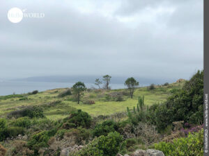 Hier sieht man einen Ausblick auf die K&uuml;ste von O Pindo.