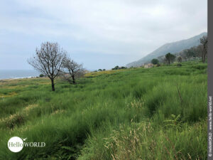 Hier sieht man eine Aussicht auf die Umgebung der K&uuml;ste in Richtung A Guarda.