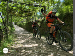 Das Foto zeigt fr&ouml;hlich winkende Radpilger, die in der N&auml;he von Bandeira auf dem Camino Portugues Central fahren.