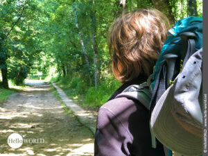 Wegansicht auf dem Camino Portugues Central Das Foto zeigt Andrea auf dem Camino Portuges Central, die einen mit Bäumen gesäumten Weg entlang blickt.