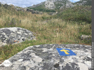 Blau-gelber Wegweiser am Monte Louro Hier sieht man ein einen gelben Jakobswegpfeil auf blauem Grund auf einem Stein auf dem Monte de Louro.