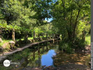 Hier sieht man einen idyllischen Weg in der N&auml;he von O Folon.
