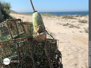 Alte Reusen am Bootshafen Castelo de Neiva Hier sieht man sieht man alte Fischreusen am Bootshafen in der Nähe der Ortschaft Castelo de Neiva.