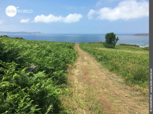 Hier sieht man einen Weg in der N&auml;he von Barbeito, einem Ort in den Rias Baixas.