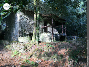 Hier sieht man ein altes gut erhaltenes Steinm&uuml;hlengeb&auml;ude im Wald.