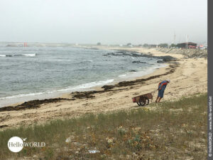 Hier sieht man eine alte Frau die einen Schubkarren &uuml;ber den Strand zieht.