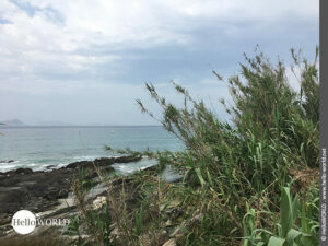 Camino Portugues Küstenweg: Immer den Atlantik vor Augen Hier sieht man eine Aussicht auf den Atlantik bei Patos.