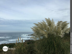 Hier sieht man eine Aussicht auf die K&uuml;ste von Pedra Rubia.