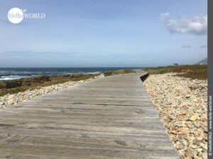 Hier sieht man einen Holzbohlenweg an der K&uuml;ste des Atlantiks.