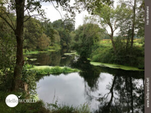 Bei der zehnten Camino Portugues Etappe blicken wir in der N&auml;he von Barrantes auf den Flu&szlig; Rio Umia, dessen Wasser ruhig und klar ist und ges&auml;umt wird von B&auml;umen und Str&auml;uchern.