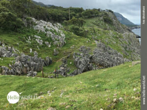 Der Charme des spanischen Nordk&uuml;stenwegs wird auch von solchen schmalen Wiesenpfaden, die sich den Berg hinauf schl&auml;ngeln, gepr&auml;gt.