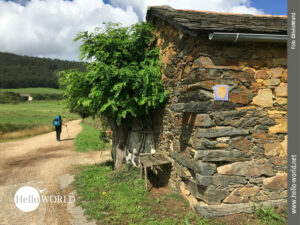 Das Bild zeigt eine Pilgerin auf dem Jakobsweg Camino del Norte an der spanischen Nordk&uuml;ste auf einer Landstra&szlig;e laufend, rechts ein Steinhaus mit Jakobswegmuschel.