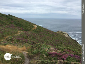 Auf schmalen Pfaden zum Leuchtturm von Laxe Die Aufnahme von der spanischen Nordküste zeigt einen sandigen Pfad am Hang der Steilküste, rechts und links viel Grün und lilafarbenes Heidekraut, dahinter der Atlantik.