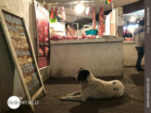 Die Galerie Bilder von M&auml;rkten in S&uuml;damerika, zeigt Impressionen wie diesen Fleischstand in einem Mercado vor dem ein Hund sitzt.