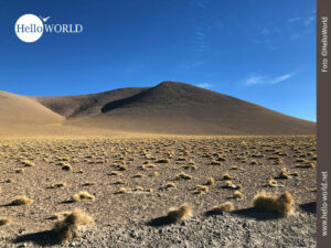 Wüstenähnliche Landschaft in Bolivien Diese Bild aus Bolivien zeigt eine wüstenähnliche Landschaft mit Steppengras und im Hintergrund einen dunklen Hügel.