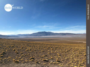 Dieses Bild zeigt die rote Lagune in Bolivien, aufgenommen aus der Ferne, im Vordergrund sandiger Boden mit Steppengras.