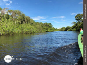 Dieses Bild zeigt einen Arm des Yakuma-Flusses, der durch die Pampas zieht