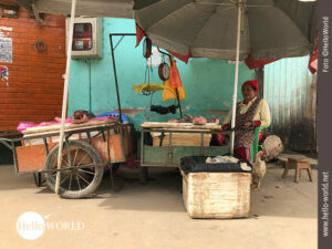 Das Bild aus Bolivien zeigt eine Marktfrau in Rurrenabaque, die auf einem Stuhl sitzt, vor ihr zwei Karren mit Fisch und eine Waage.