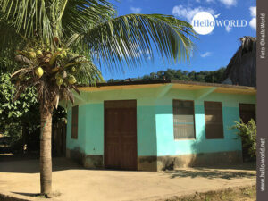 Das Bild aus Rurrenabaque, Bolivien, zeigt eine Hausecke, an der ein t&uuml;rkisfarbenes Haus steht und im Vordergrund eine Kokospalme mit Fr&uuml;chten und gro&szlig;en Bl&auml;ttern, die in den blauen Himmel ragen.