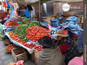 Monokultur auf den Straßenständen Das Bild zeigt einen Marktstand in Sucre, Südamerika, mit Tomaten und Paprika neben dem zwei Frauen mit Hüten sitzen.