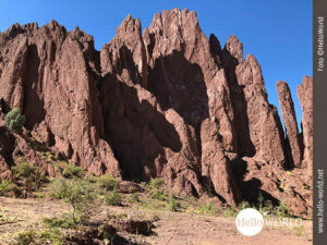 Das Bild aus Bolivien zeigt eine tiefrote Felsenwand in der Quedrada de Palala bei Tupiza.