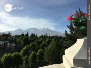 Von Arequipa aus hat man diesen Blick auf den mehr als 6000 Meter hohen Berg Chachani, im Vordergrund rechts rote Geranien, dann B&auml;ume.