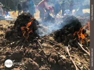 Das Bild aus Cusco, Peru, zeigt zwei brennende Erdh&uuml;gel, in denen Kartoffeln zubereitet werden, dahinter Menschen, die die Kartoffeln ernten.