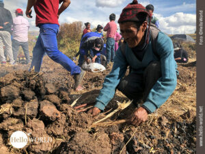 Das Bild aus Cusco, Peru, zeigt einen Mann vor einem Erdh&uuml;gel, in dem er Feuer macht.