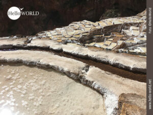Salinas de Maras: Perus weißes Gold Dieses Bild zeigt eine Nahaufnahme einer Salzpfanne der Salinas de Maras in Peru, auf der Oberfläche Salzkristalle, im Hintergrund weitere Becken.