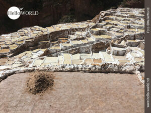 Aufwändig: Salzernte bei den Salinas de Maras in Peru Dieses Bild von den Salinas de Maras in Peru zeigt im Vordergrund einen kleinen bräunlichen Salzhügel, dahinter weiß-beige-farbene Salzbecken, die terrassenförmig angeordnet sind.