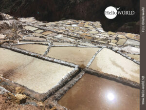 Funkeln in der Sonne: die Salzbecken der Salinas de Maras Dieses Bild zeigt eine Nahaufnahme von Salzbecken der Salinas de Maras in Peru, die in der Sonne funkeln.
